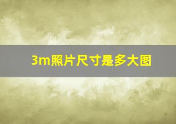 3m照片尺寸是多大图