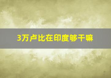 3万卢比在印度够干嘛