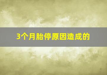 3个月胎停原因造成的