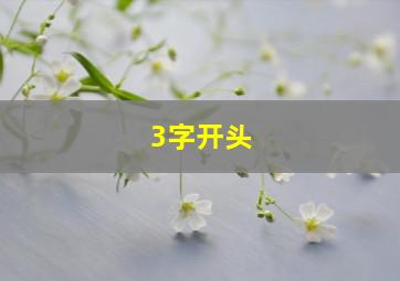 3字开头