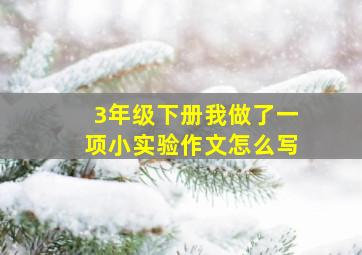 3年级下册我做了一项小实验作文怎么写