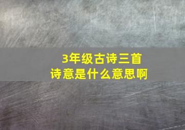 3年级古诗三首诗意是什么意思啊