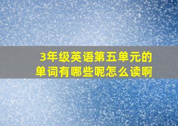 3年级英语第五单元的单词有哪些呢怎么读啊