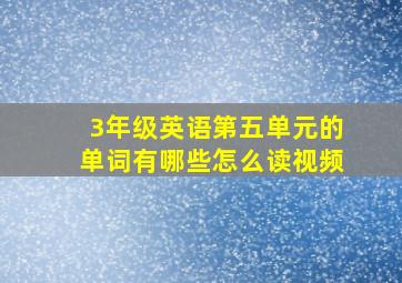 3年级英语第五单元的单词有哪些怎么读视频