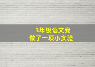 3年级语文我做了一项小实验