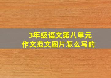 3年级语文第八单元作文范文图片怎么写的