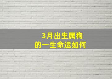 3月出生属狗的一生命运如何