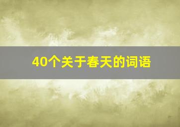 40个关于春天的词语