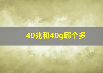 40兆和40g哪个多