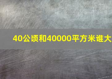 40公顷和40000平方米谁大