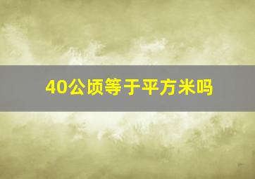 40公顷等于平方米吗