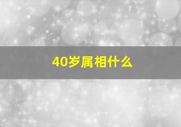 40岁属相什么