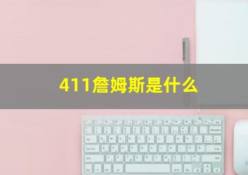 411詹姆斯是什么