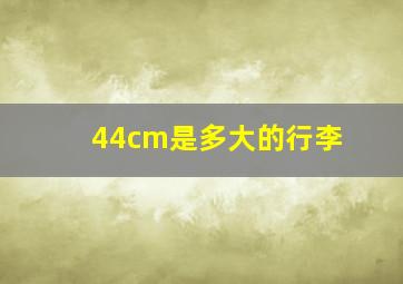 44cm是多大的行李