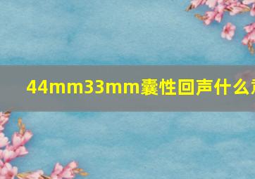 44mm33mm囊性回声什么意思