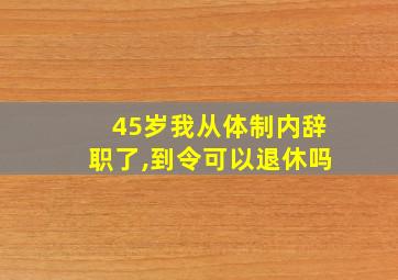 45岁我从体制内辞职了,到令可以退休吗