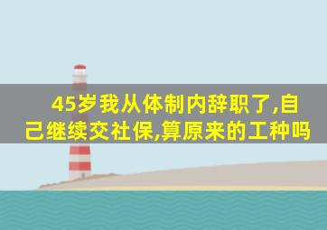 45岁我从体制内辞职了,自己继续交社保,算原来的工种吗