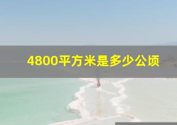 4800平方米是多少公顷