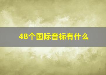 48个国际音标有什么