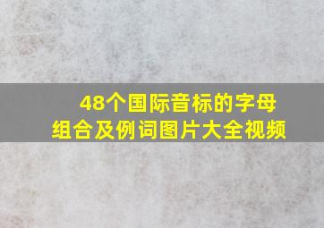 48个国际音标的字母组合及例词图片大全视频