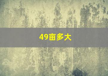 49亩多大