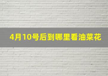 4月10号后到哪里看油菜花