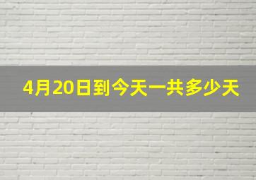 4月20日到今天一共多少天