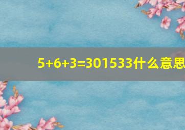 5+6+3=301533什么意思