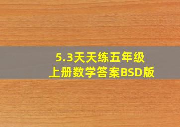 5.3天天练五年级上册数学答案BSD版