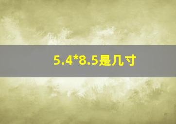 5.4*8.5是几寸