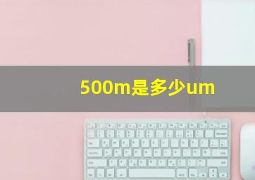 500m是多少um