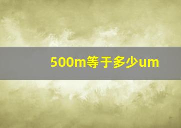 500m等于多少um