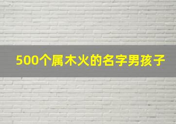 500个属木火的名字男孩子