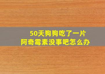 50天狗狗吃了一片阿奇霉素没事吧怎么办