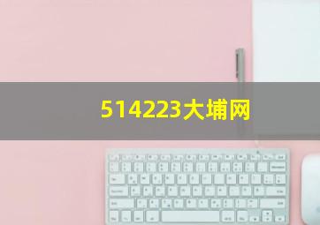 514223大埔网