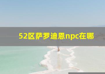 52区萨罗迪恩npc在哪