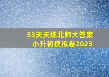 53天天练北师大答案小升初摸拟卷2023