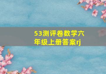 53测评卷数学六年级上册答案rj