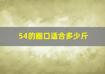 54的圈口适合多少斤