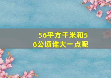 56平方千米和56公顷谁大一点呢