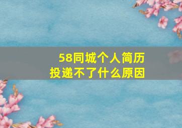 58同城个人简历投递不了什么原因