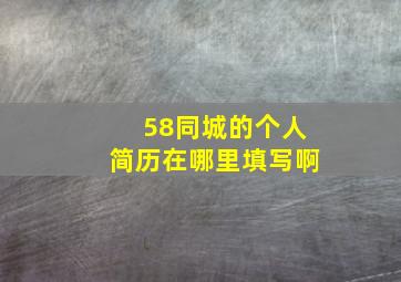 58同城的个人简历在哪里填写啊