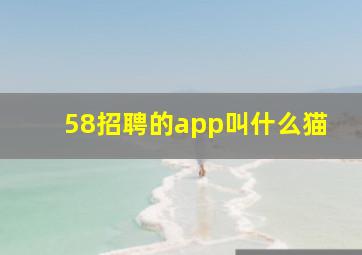 58招聘的app叫什么猫