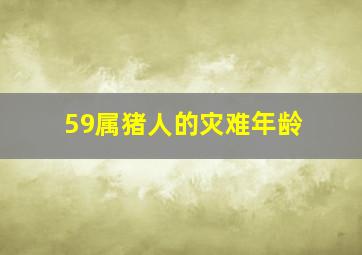 59属猪人的灾难年龄