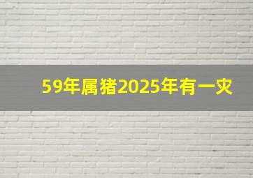 59年属猪2025年有一灾