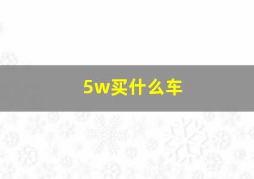 5w买什么车