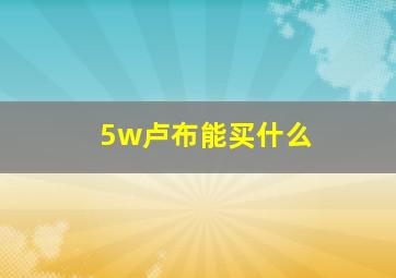 5w卢布能买什么