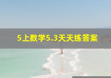 5上数学5.3天天练答案