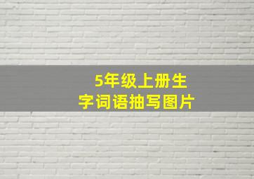 5年级上册生字词语抽写图片