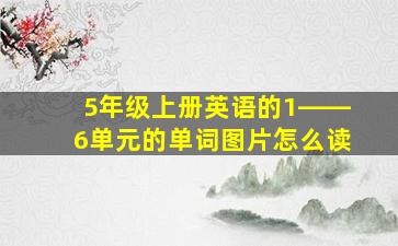 5年级上册英语的1――6单元的单词图片怎么读